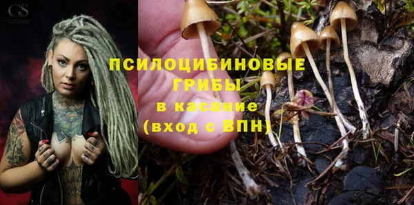 ECSTASY Белокуриха