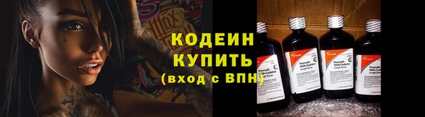 ECSTASY Белокуриха