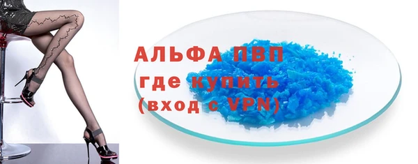 ECSTASY Белокуриха