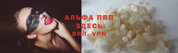 ECSTASY Белокуриха
