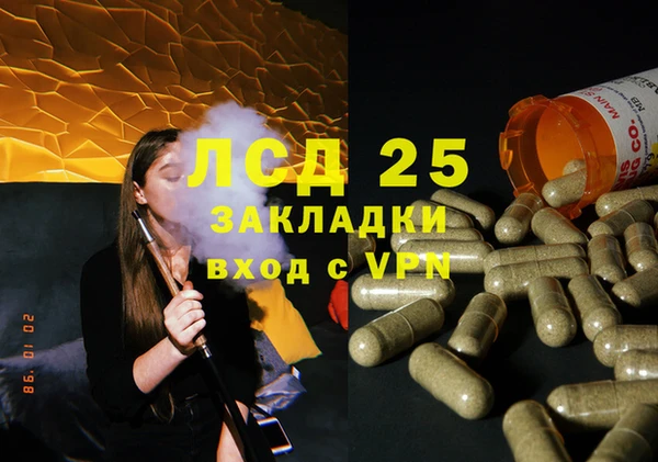 ECSTASY Белокуриха