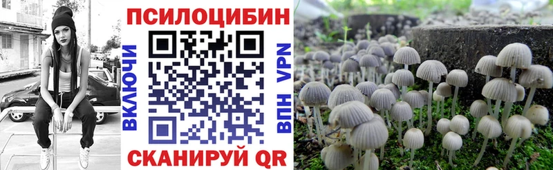 Псилоцибиновые грибы Magic Shrooms  площадка клад  Малмыж 